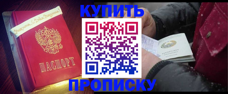 прописка гарантия в Камышлове